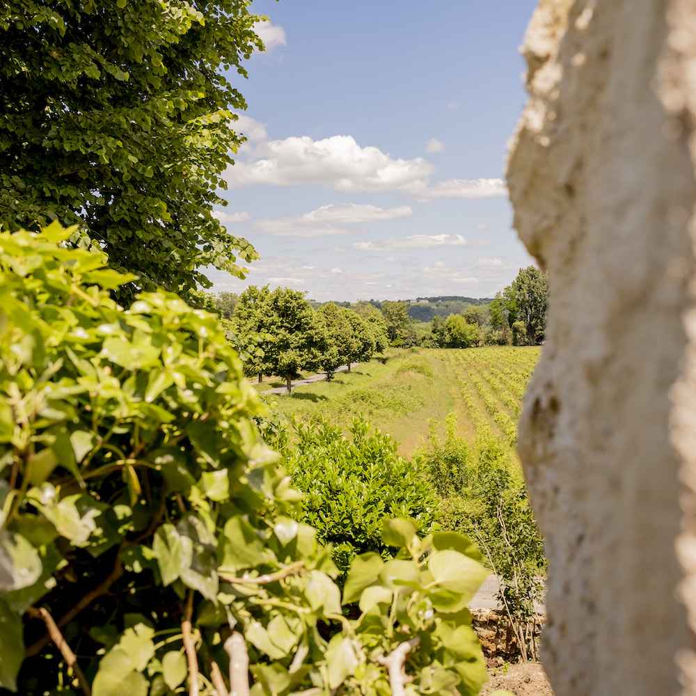 Propriétés rive droite